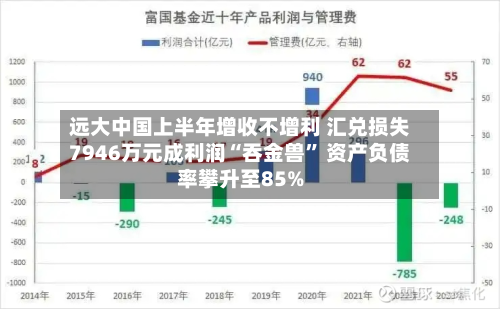 远大中国上半年增收不增利 汇兑损失7946万元成利润“吞金兽	” 资产负债率攀升至85%-第2张图片