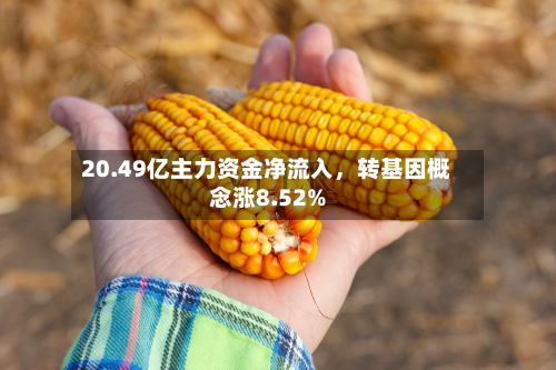 20.49亿主力资金净流入，转基因概念涨8.52%