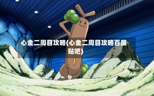 心金二周目攻略(心金二周目攻略百度贴吧)