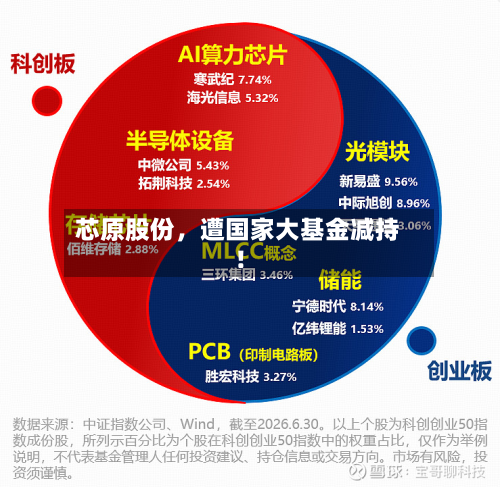 芯原股份，遭国家大基金减持！