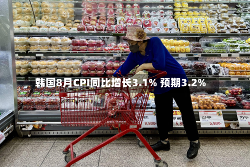 韩国8月CPI同比增长3.1% 预期3.2%-第2张图片