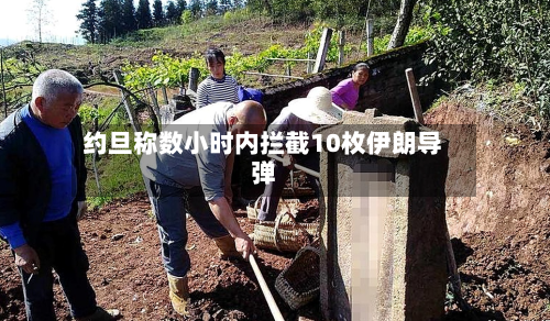 约旦称数小时内拦截10枚伊朗导弹-第2张图片