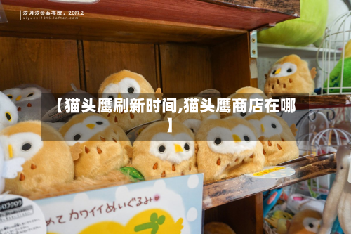 【猫头鹰刷新时间,猫头鹰商店在哪】-第2张图片