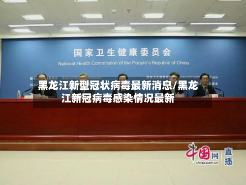 黑龙江新型冠状病毒最新消息/黑龙江新冠病毒感染情况最新-第2张图片