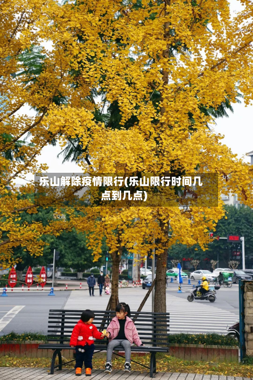 乐山解除疫情限行(乐山限行时间几点到几点)