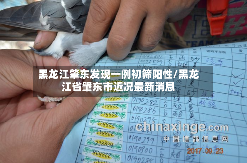 黑龙江肇东发现一例初筛阳性/黑龙江省肇东市近况最新消息-第2张图片