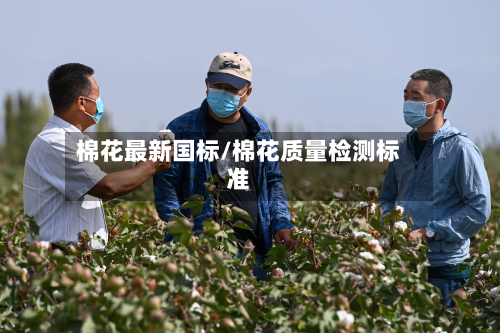 棉花最新国标/棉花质量检测标准