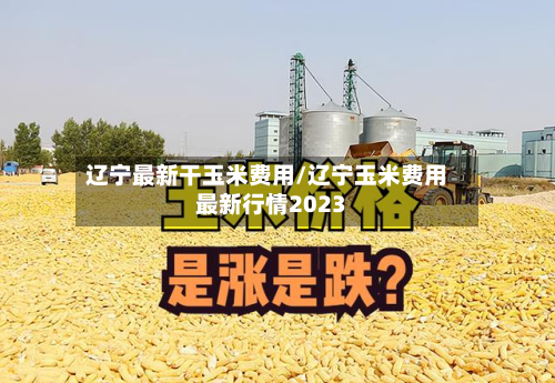 辽宁最新干玉米费用/辽宁玉米费用最新行情2023-第3张图片