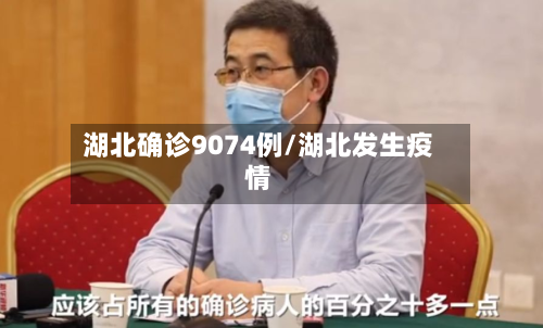 湖北确诊9074例/湖北发生疫情