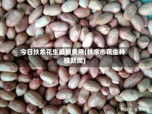 今日扶余花生最新费用(扶余市花生种植新闻)-第3张图片