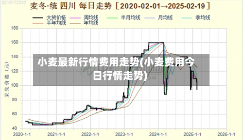 小麦最新行情费用走势(小麦费用今日行情走势)-第2张图片