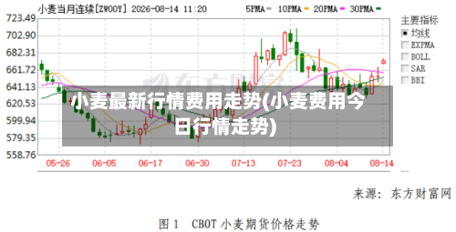 小麦最新行情费用走势(小麦费用今日行情走势)