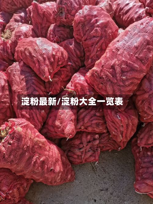 淀粉最新/淀粉大全一览表-第2张图片