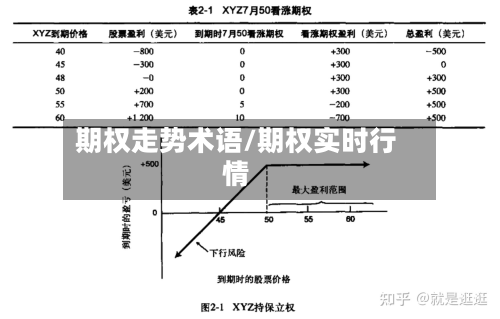 期权走势术语/期权实时行情