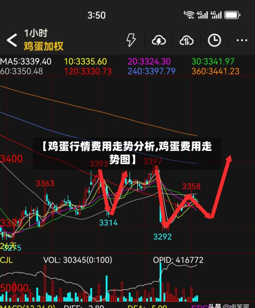 【鸡蛋行情费用走势分析,鸡蛋费用走势图】-第2张图片