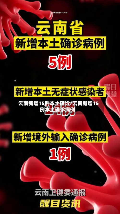 云南新增15例本土确诊/云南新增15例本土确诊病例