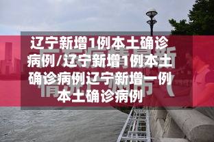辽宁新增1例本土确诊病例/辽宁新增1例本土确诊病例辽宁新增一例本土确诊病例