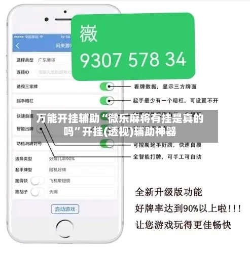 万能开挂辅助“微乐麻将有挂是真的吗”开挂(透视)辅助神器-第2张图片