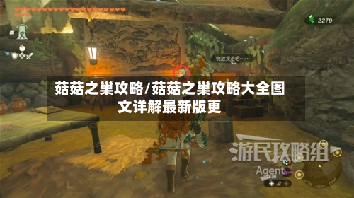 菇菇之巢攻略/菇菇之巢攻略大全图文详解最新版更