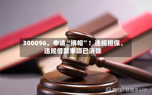 300096，申请“摘帽”！违规担保、违规借款事项已消除-第2张图片