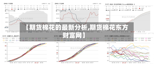 【期货棉花的最新分析,期货棉花东方财富网】