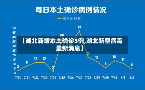 【湖北新增本土确诊5例,湖北新型病毒最新消息】-第2张图片