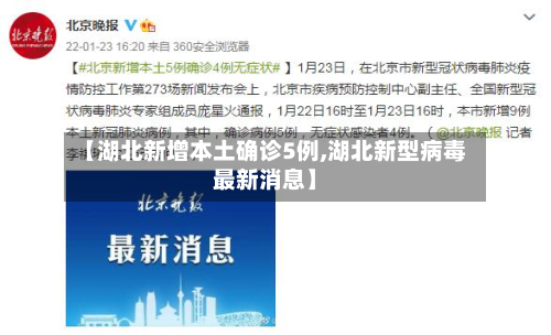 【湖北新增本土确诊5例,湖北新型病毒最新消息】