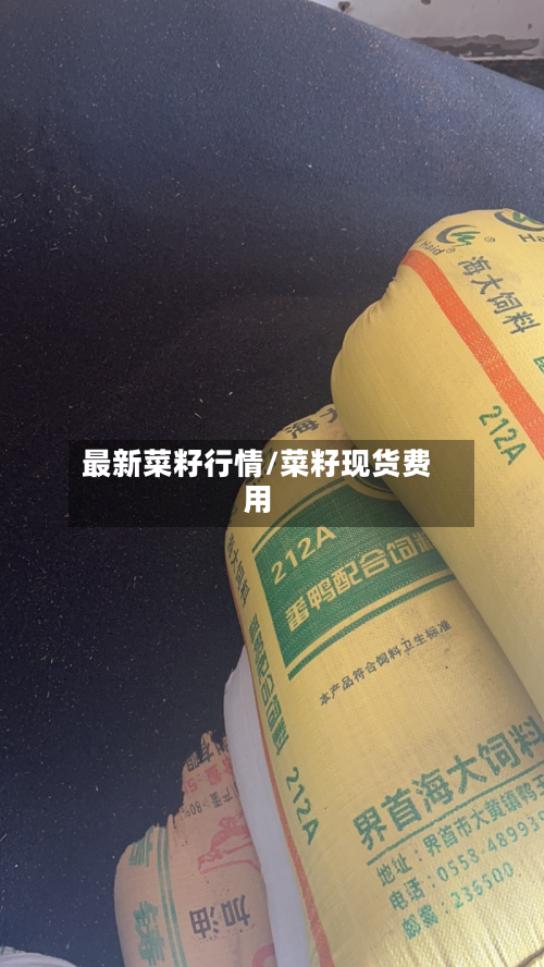 最新菜籽行情/菜籽现货费用-第2张图片