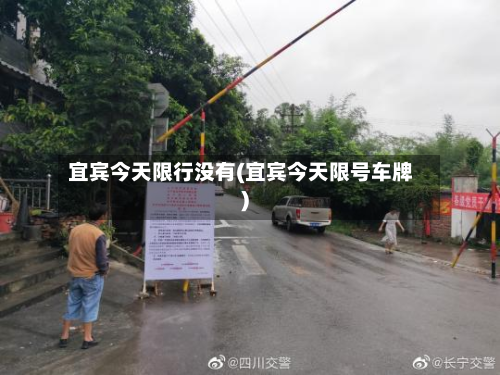 宜宾今天限行没有(宜宾今天限号车牌)-第2张图片