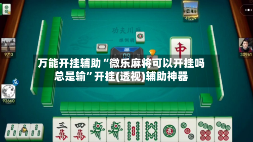 万能开挂辅助“微乐麻将可以开挂吗总是输”开挂(透视)辅助神器-第2张图片