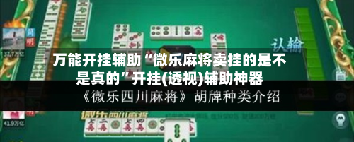 万能开挂辅助“微乐麻将卖挂的是不是真的”开挂(透视)辅助神器-第2张图片
