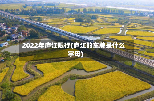 2022年庐江限行(庐江的车牌是什么字母)-第3张图片