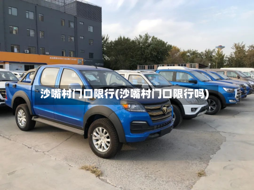 沙嘴村门口限行(沙嘴村门口限行吗)