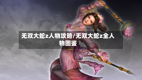 无双大蛇z人物攻略/无双大蛇z全人物图鉴-第2张图片