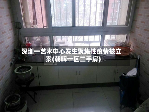 深圳一艺术中心发生聚集性疫情被立案(朝晖一区二手房)