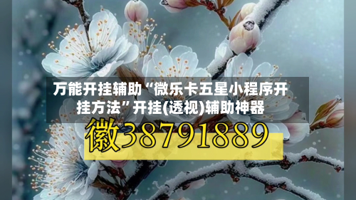 万能开挂辅助“微乐卡五星小程序开挂方法	”开挂(透视)辅助神器-第2张图片
