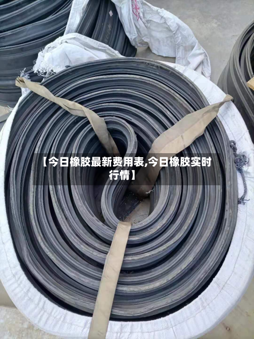 【今日橡胶最新费用表,今日橡胶实时行情】-第3张图片