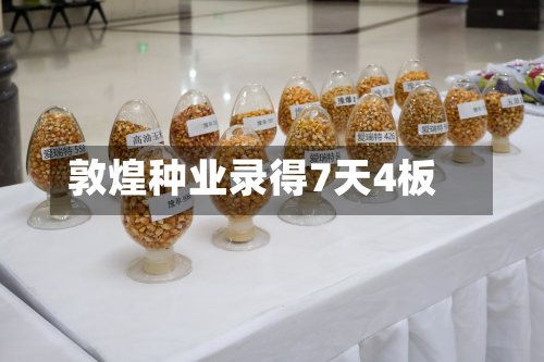 敦煌种业录得7天4板-第3张图片