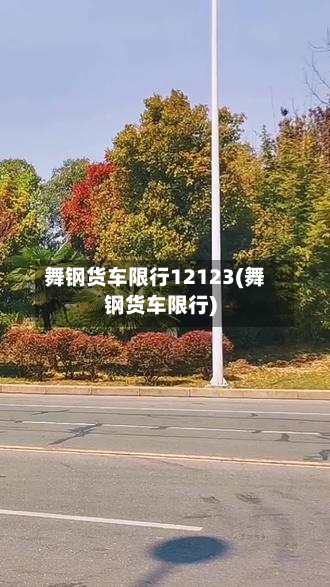 舞钢货车限行12123(舞钢货车限行)-第3张图片