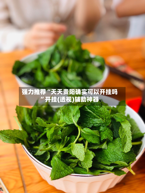 强力推荐“天天贵阳确实可以开挂吗	”开挂(透视)辅助神器-第2张图片