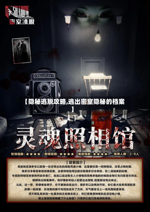 【隐秘逃脱攻略,逃出密室隐秘的档案】