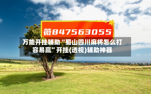 万能开挂辅助“蜀山四川麻将怎么打容易赢”开挂(透视)辅助神器-第2张图片