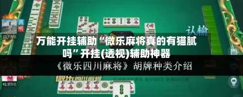 万能开挂辅助“微乐麻将真的有猫腻吗”开挂(透视)辅助神器