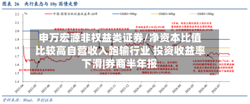 申万宏源非权益类证券/净资本比值比较高自营收入跑输行业 投资收益率下滑|券商半年报-第3张图片
