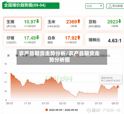 农产品期货走势分析/农产品期货走势分析图