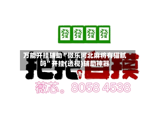 万能开挂辅助“微乐河北麻将有猫腻吗”开挂(透视)辅助神器-第2张图片