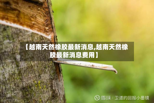 【越南天然橡胶最新消息,越南天然橡胶最新消息费用】-第2张图片