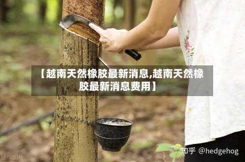 【越南天然橡胶最新消息,越南天然橡胶最新消息费用】