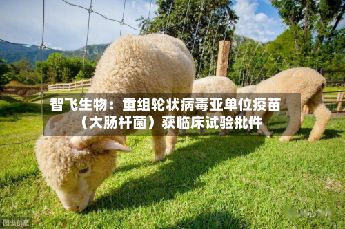 智飞生物：重组轮状病毒亚单位疫苗（大肠杆菌）获临床试验批件-第2张图片