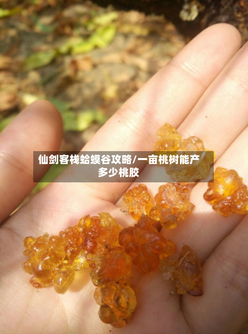 仙剑客栈蛤蟆谷攻略/一亩桃树能产多少桃胶